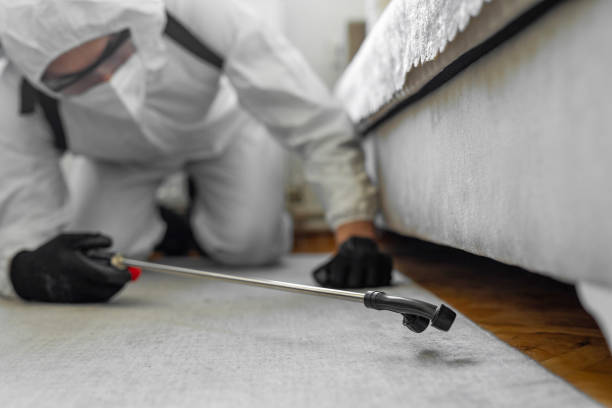 Professional Bed Bug Control technician working in Moberly, MO