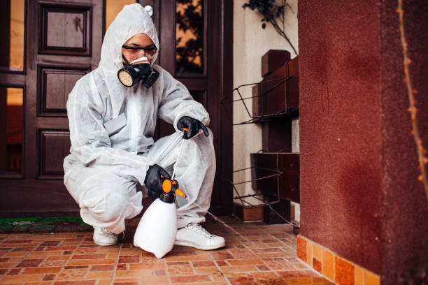 Reliable Bed Bug Control contractor in Moberly, MO by Nex Pest Control
