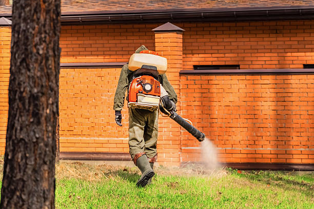Top rated local Bed Bug Control specialists in Moberly, MO